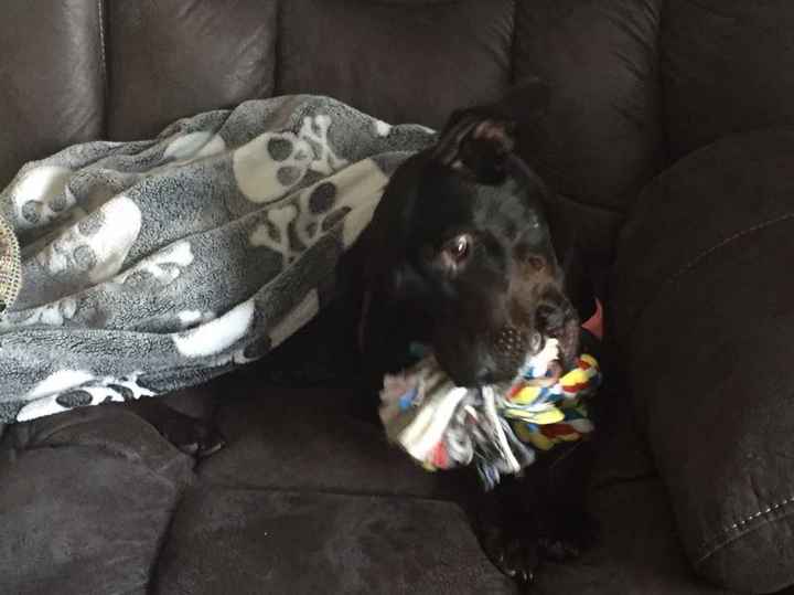 NWR: We got a furbaby!