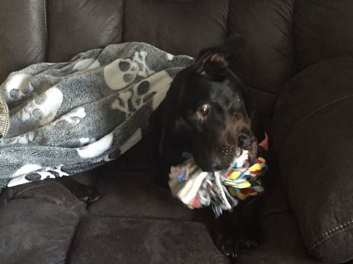 NWR: We got a furbaby!