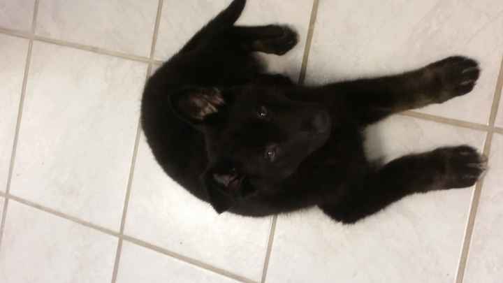 Can you guys keep a secret?!?! UPDATE!