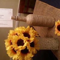 Opinions and advice please!