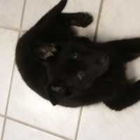 Can you guys keep a secret?!?! UPDATE!