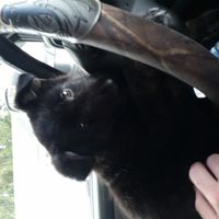 Can you guys keep a secret?!?! UPDATE!