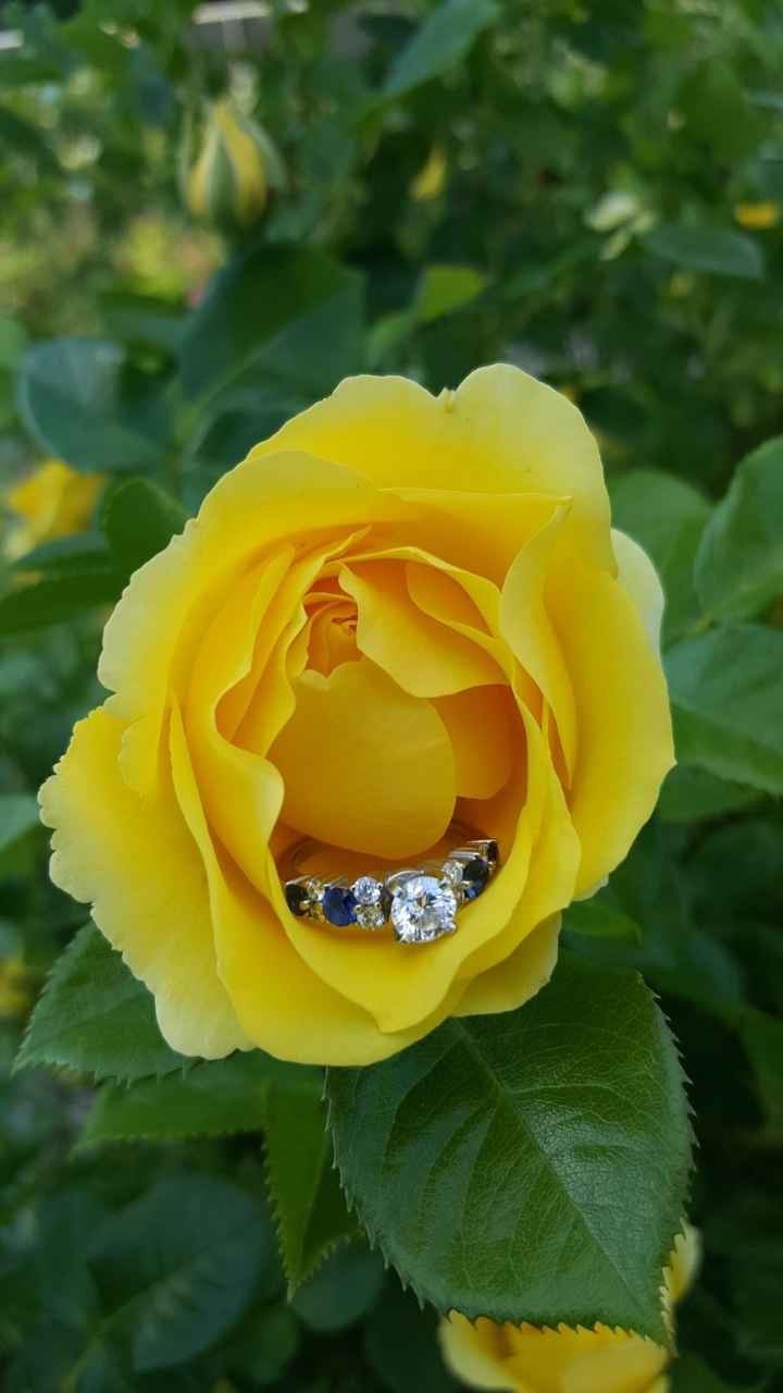 Who else has gemstones in their ring(s)?  Let's see them! - 1