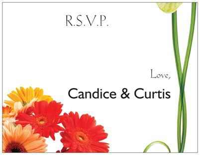 Hayley C- RSVP postcards