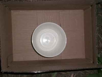 NWR: Freaked out...random package addressed to FH