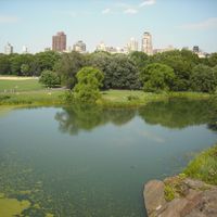 Anybody with a non-water honeymoon?