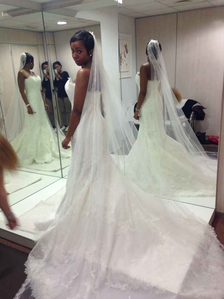 Veil or no veil