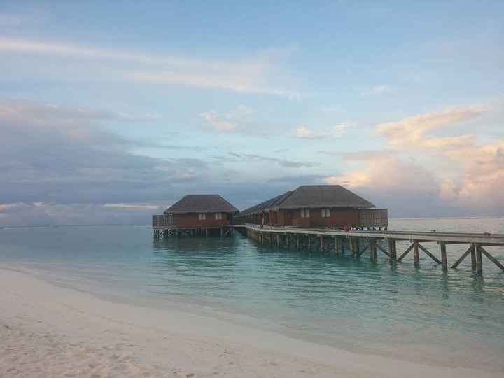 While I wait for pro-pics to do my full BAM...I'm BAH from the Maldives!