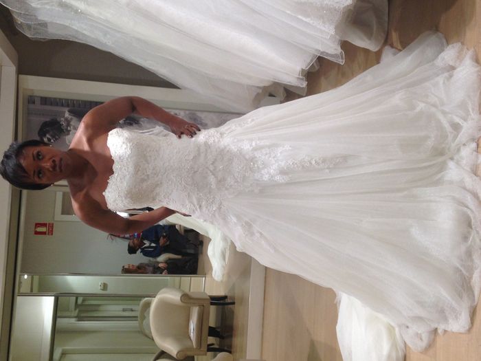 Dress Shopping Day 1: No gown yet but I'm on the right track.