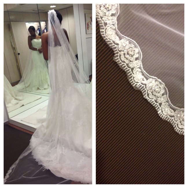Veils