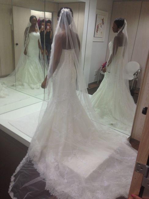 VOTE: To Veil or Not to Veil?