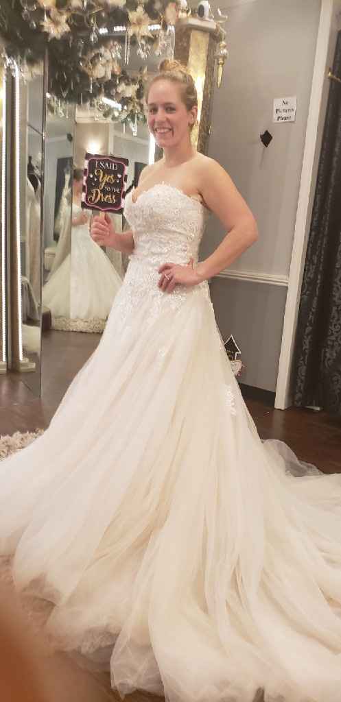 i picked a dress! But.... - 1