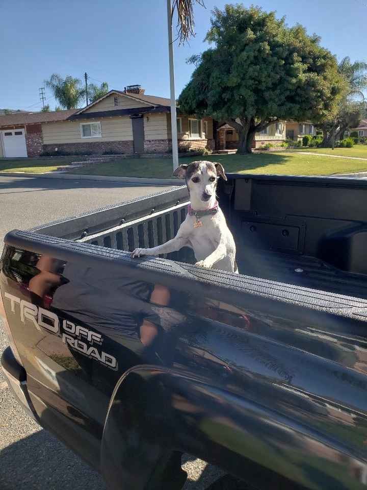 Pet owners! :-) Share your pets - 1