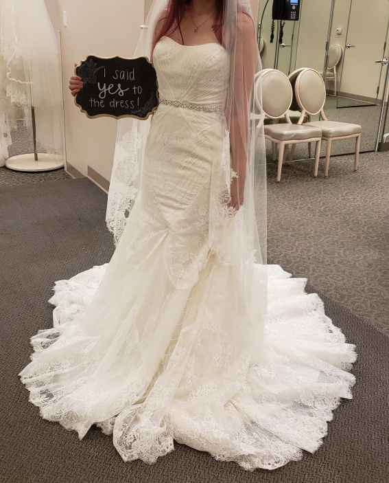 i picked my dress! - 1