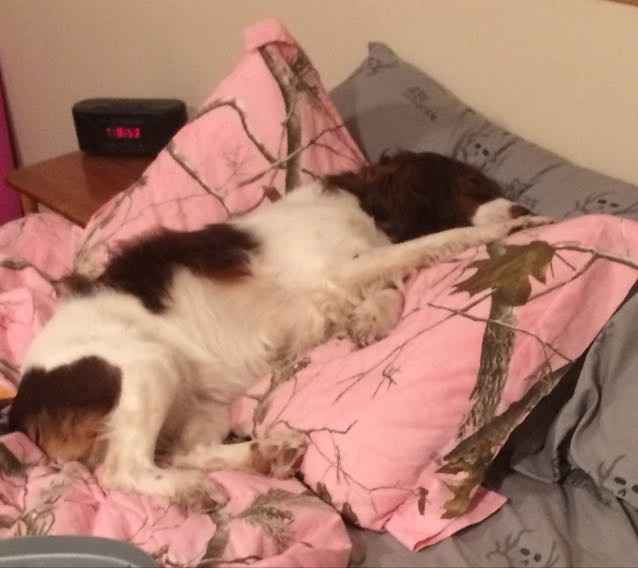 NWR: My pup thinks she's people. She's right. Show me your "people pups!"