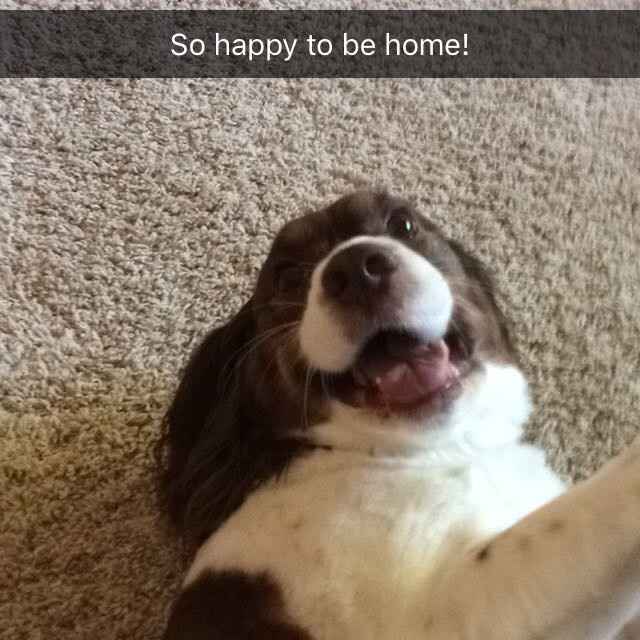 NWR:  Show me your fur babies!