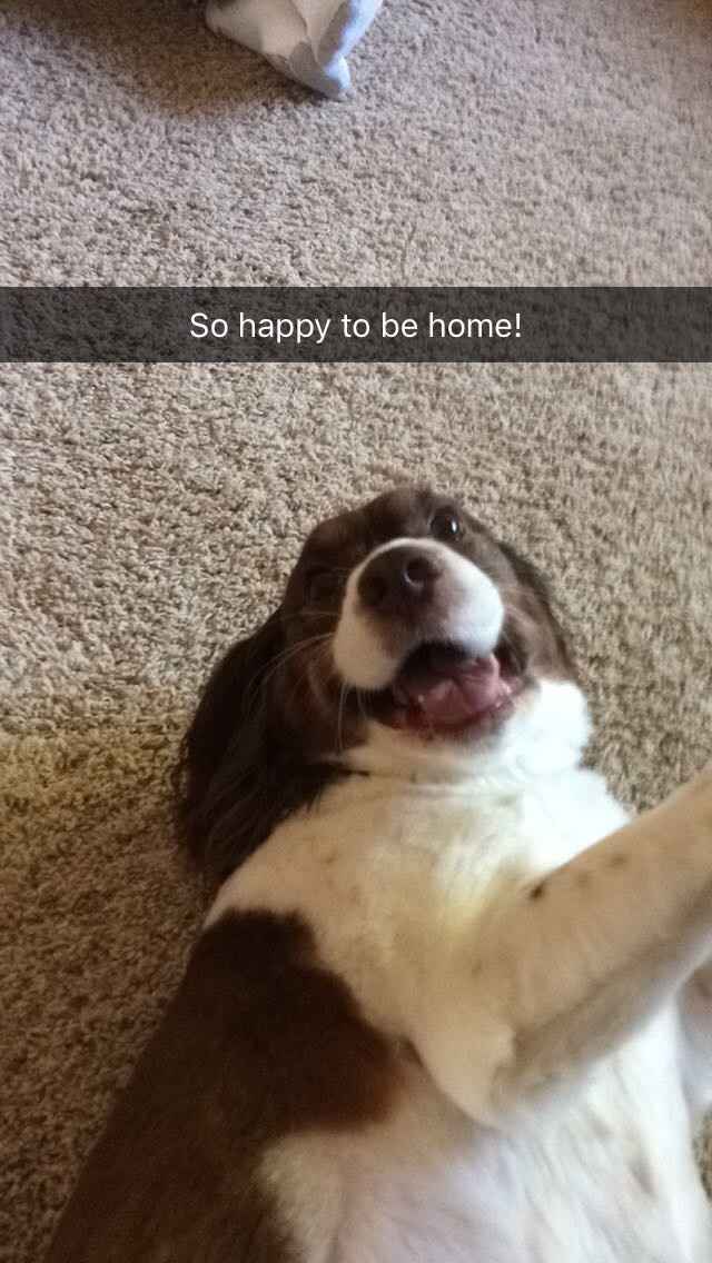 NWR: got a dog!