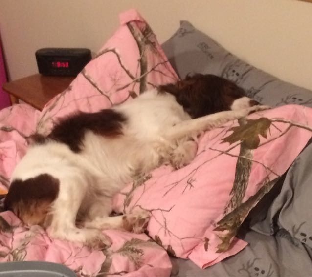 NWR: My pup thinks she's people. She's right. Show me your "people pups!"