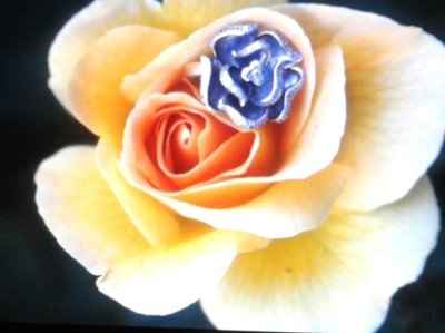 Show off your engagement ring!**Pics**