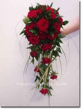 Show me your flowers! **Pics**