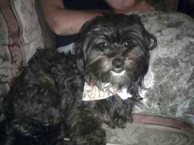 Adopted our 1st baby! (PICS)