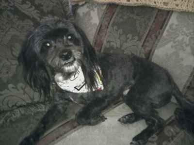 Adopted our 1st baby! (PICS)