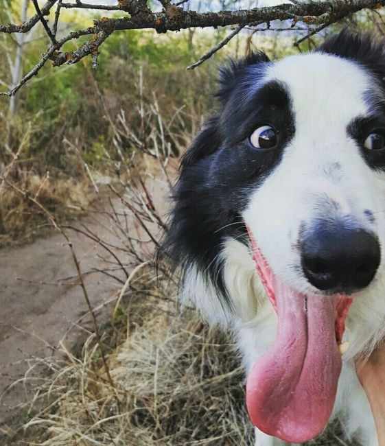 NWR- pets! We love them show me yours :)