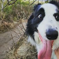 NWR- pets! We love them show me yours :)