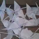 Oragami cranes