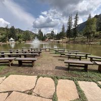 We did it! Wanted to share some of our Diys - 6