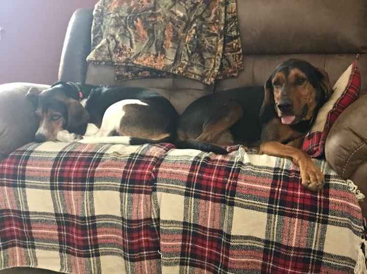 Nwr- show me your fur babies