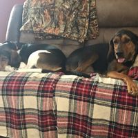 Nwr- show me your fur babies