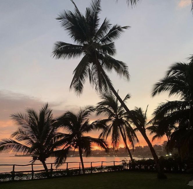 Mexico- March date up for grabs! - 3