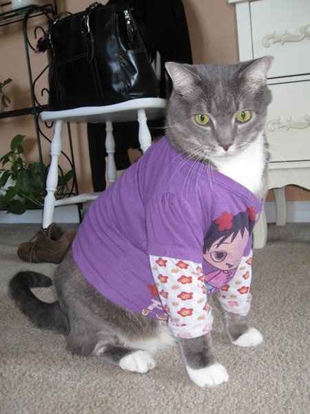 Furbabies (to lighten the mood)