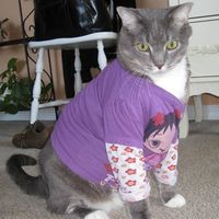 Furbabies (to lighten the mood)