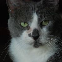 Furbabies (to lighten the mood)