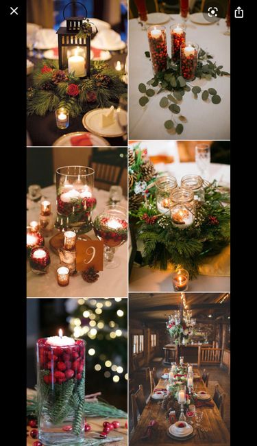 Little to no flowers? 1