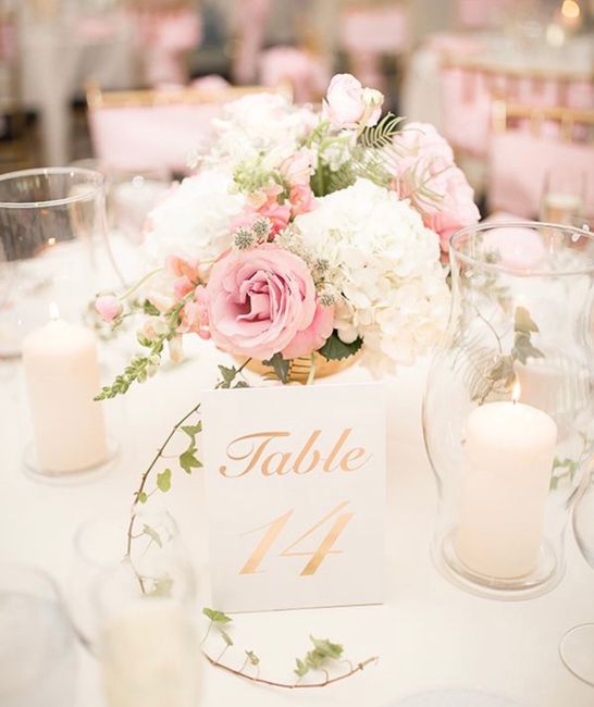 Centerpiece Ideas? - 2