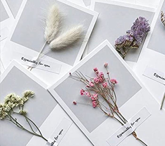 Appetizers at cocktail hour? 2