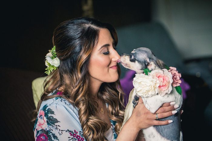 How should I do my hair for my wedding? 1
