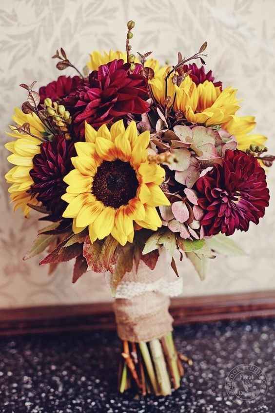 Sunflower and burgundy