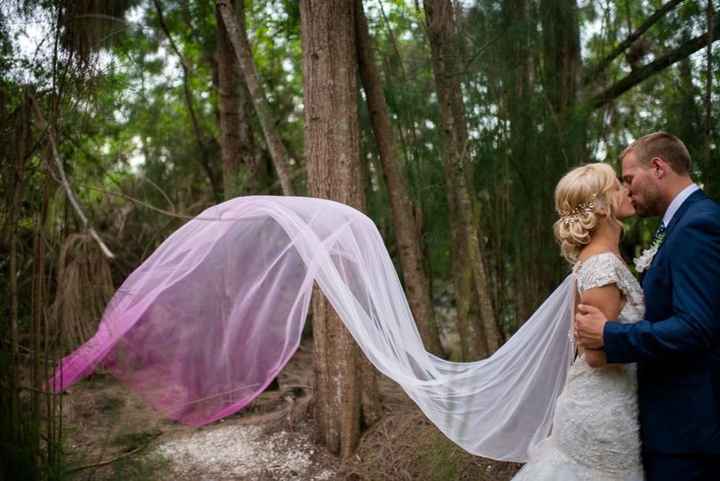 pink ombre veil
