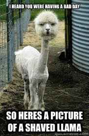 NWR: Worst. Day. Ever. Upate