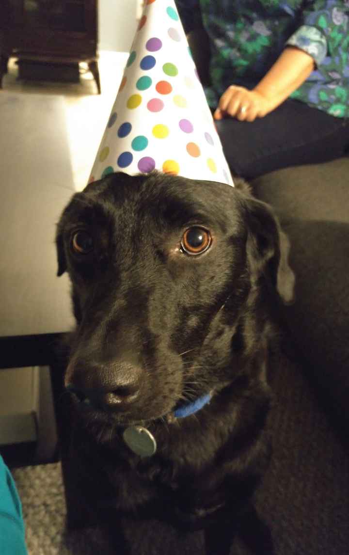 Just need to vent and cry a little