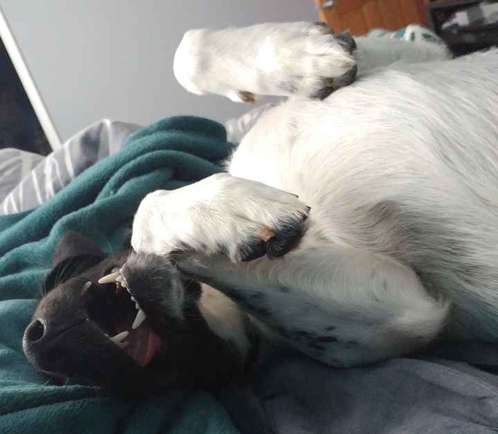 Just need to vent and cry a little