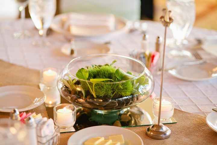 This couple used plants instead of cut flowers for their centerpieces