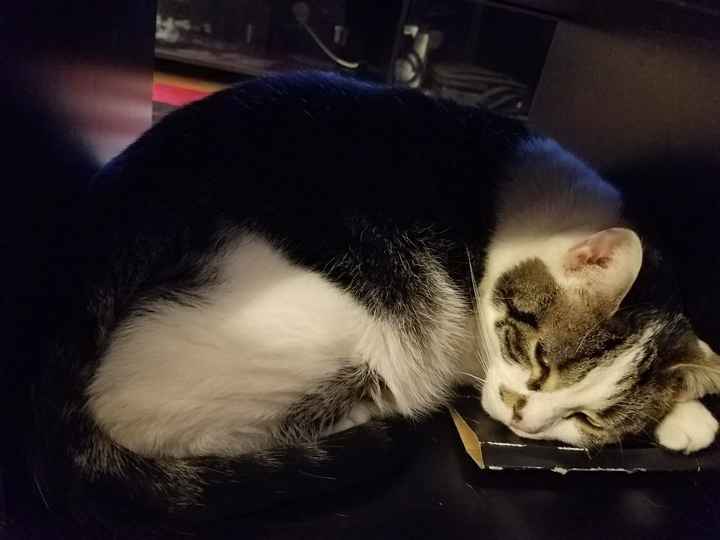 Show Me... Cheering Up!