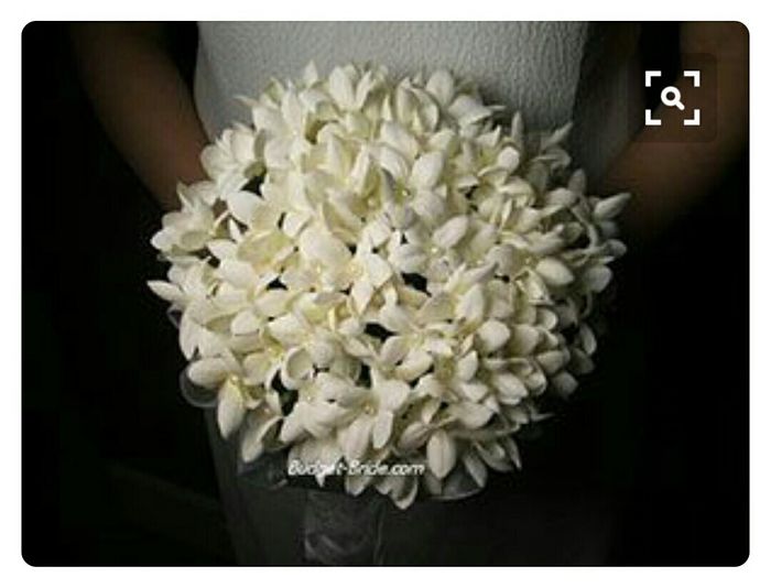 Ladies, What are your favorite flowers?