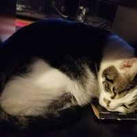 Show Me... Cheering Up!