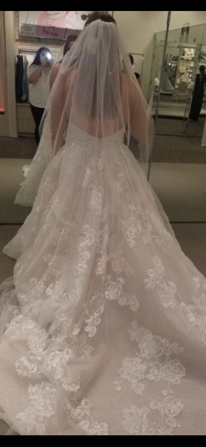 Veil or no veil to go with my dress? 2